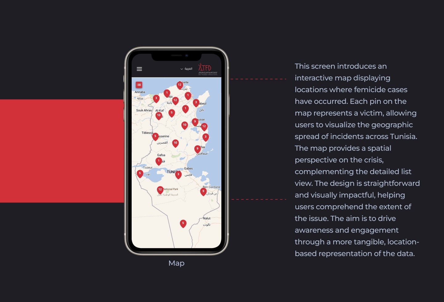 Mapping Femicide in Tunisia - Case Study — case study page 13